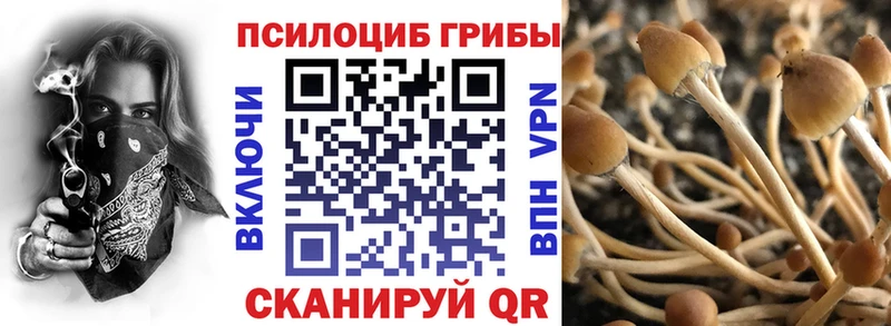 Галлюциногенные грибы Psilocybe  МЕГА ТОР  Белинский 